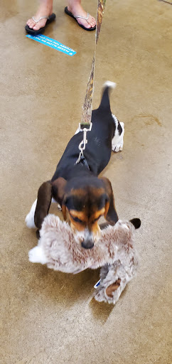 Pet Supply Store «PetSmart», reviews and photos, 5812 Youngstown Warren Rd, Niles, OH 44446, USA