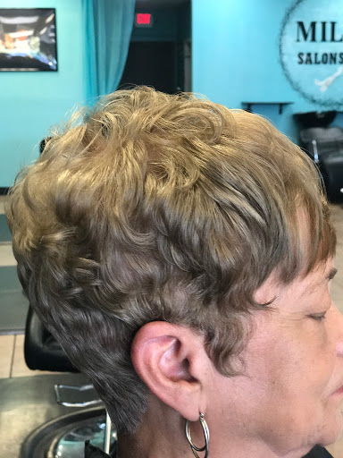 Beauty Salon «Milili Salon & Spa», reviews and photos, 373 S Budler Rd, Romeoville, IL 60446, USA