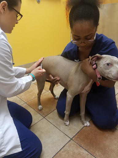 Pet Supply Store «PetSmart», reviews and photos, 9041 Snowden Square Dr, Columbia, MD 21045, USA