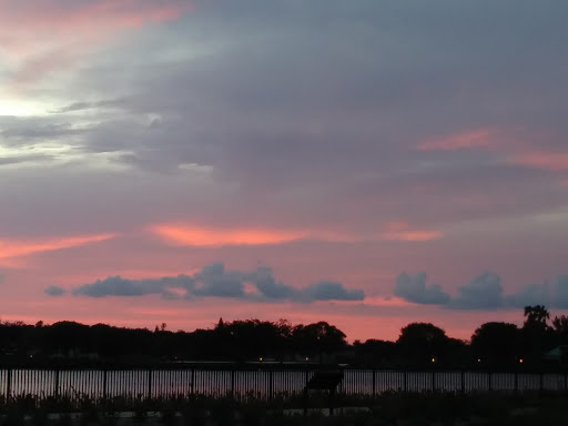 Park «Royal Palm Park», reviews and photos, 1701 NW 38th St, Oakland Park, FL 33309, USA