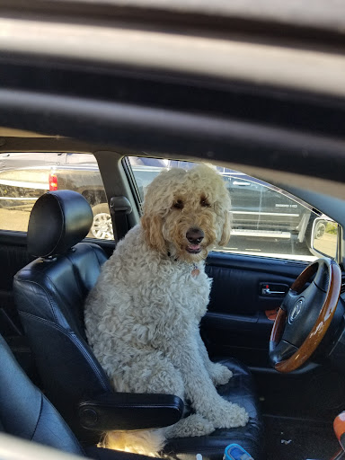 Explore mimi tattoo ideas, creative tattoo ideas in Saint Paul, available at Capital Tattoo