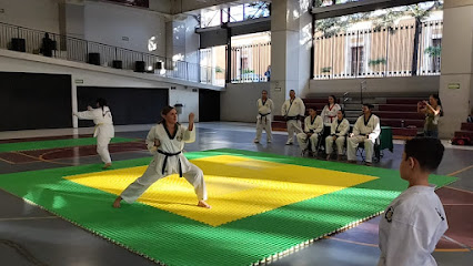 Taekwondo MDK Centinela