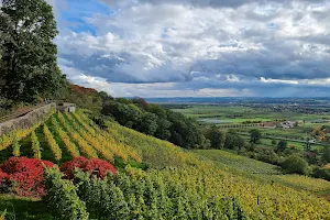 Rastplatz am Leitenweg (Weinlehrpfad), Aussichtpunkt image