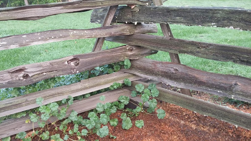 Museum «Philip Foster Farm», reviews and photos, 29912 SE Eagle Creek Rd, Eagle Creek, OR 97022, USA