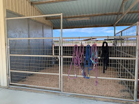 Rancho Rialto Equine Layups and Pet Sitting - Photo 4 - Car repair in Sanger, CA, Clovis