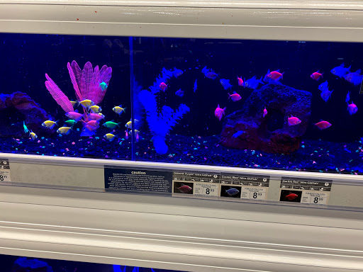 Pet Supply Store «Petco Animal Supplies», reviews and photos, 8161 Beverly Blvd, Los Angeles, CA 90048, USA