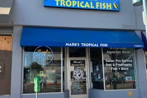 Mark's Tropical Fish image
