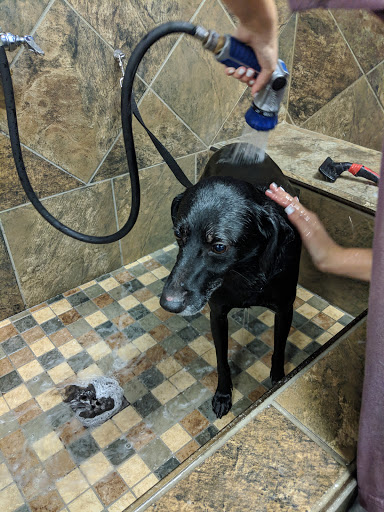 Pet Store «Pet Valu», reviews and photos, 2290 Central Park Ave, Yonkers, NY 10701, USA