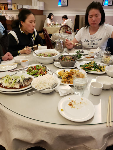 Shopping Mall «Orchard Mall Shopping Center», reviews and photos, 6337 Orchard Lake Rd, West Bloomfield Township, MI 48322, USA