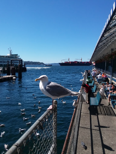 Casino «Muckleshoot Casino», reviews and photos, 2402 Auburn Way S, Auburn, WA 98002, USA