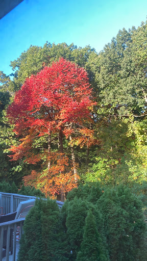 Nature Preserve «Flat Rock Brook Nature Center», reviews and photos, 443 Van Nostrand Ave, Englewood, NJ 07631, USA