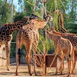 San Diego Zoo Wildlife Alliance