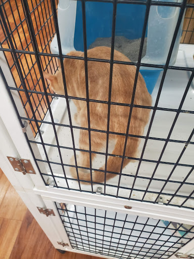 Pet Supply Store «Pet Supermarket, Inc.», reviews and photos, 3911 Lemmon Ave, Dallas, TX 75219, USA