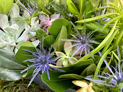 Florist «The FRENCH TULIP Studio», reviews and photos, 11523 Lantern Rd, Fishers, IN 46037, USA