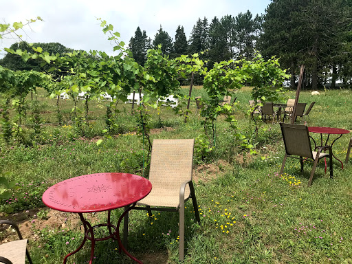 Winery «Seven Ponds Winery», reviews and photos, 87380 Betzold Rd, Bayfield, WI 54814, USA
