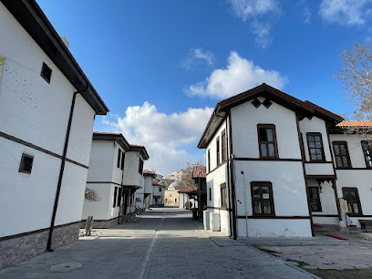 Tarihi Konya Evleri