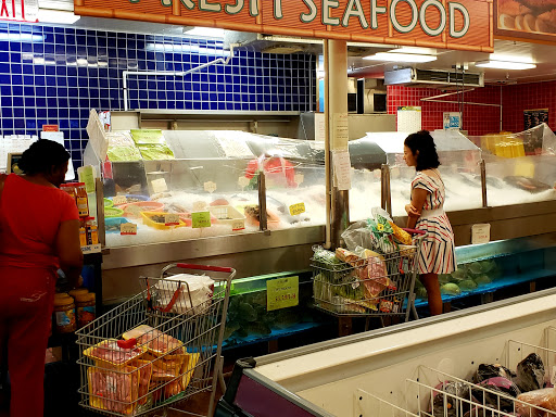 Grocery Store «MD Oriental Market BRANDON», reviews and photos, 10127 E Adamo Dr, Tampa, FL 33619, USA