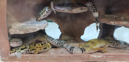 Pet Supply Store «Petco Animal Supplies», reviews and photos, 891 NE D St, Grants Pass, OR 97526, USA