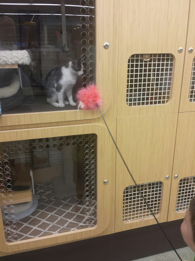 Pet Supply Store «Petco Animal Supplies», reviews and photos, 22 Peninsula Center, Rolling Hills Estates, CA 90274, USA