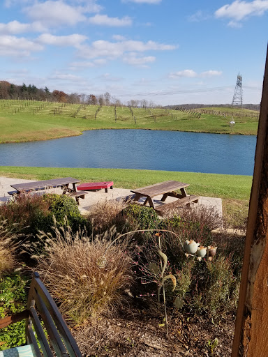 Winery «Monkey Hollow Winery», reviews and photos, 11534 E County Road 1740 N, St Meinrad, IN 47577, USA