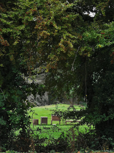 Country Club «Overlake Golf and Country Club», reviews and photos, 8000 NE 16th St, Medina, WA 98039, USA