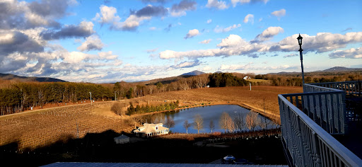 Vineyard «Frogtown Cellars», reviews and photos, 700 Ridge Point Dr, Dahlonega, GA 30533, USA