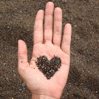 The Acupuncture Den - Photo 2 - Car repair in San Francisco, CA, San Francisco