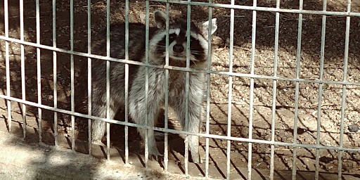 Zoo «Cricket Hollow Zoo», reviews and photos, 1512 210th St, Manchester, IA 52057, USA
