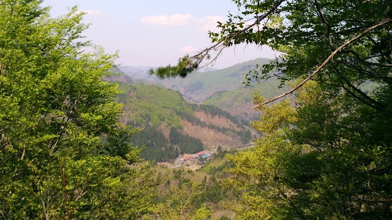 伝·横田中丸城跡