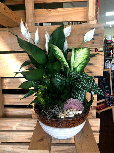 Florist «F & S FLOWERS DESIGN LLC», reviews and photos, 1799 N State Rd 7, Margate, FL 33063, USA