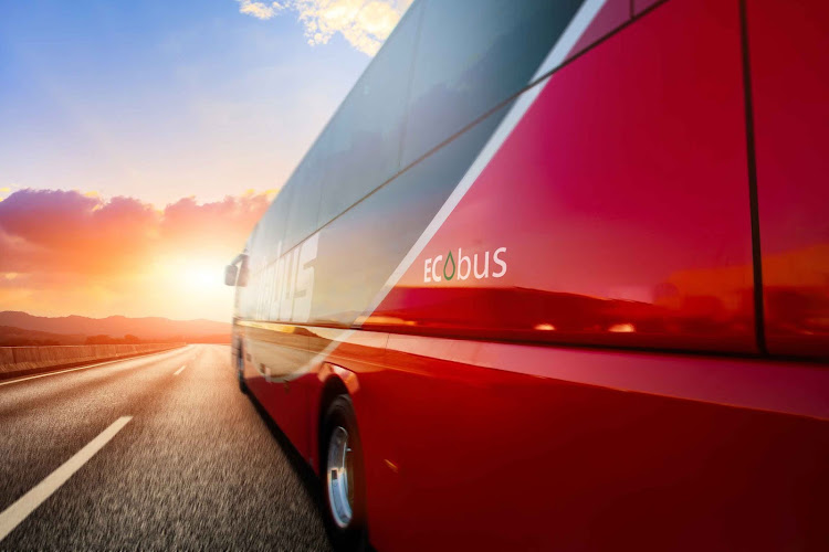 Itabus fermata