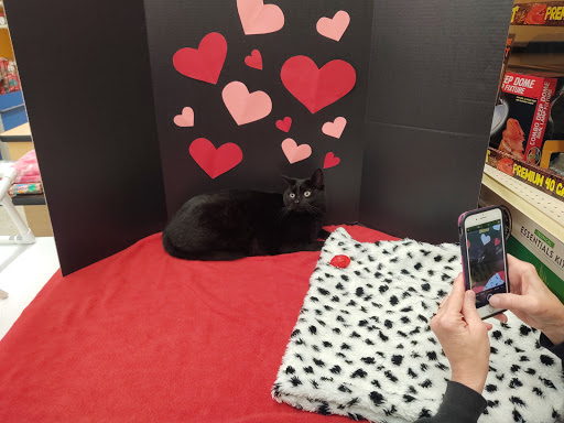 Pet Supply Store «PetSmart», reviews and photos, 8175 Arbor Square Dr, Mason, OH 45040, USA