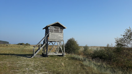 Paukščių stebėjimo bokštelis