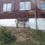 Photo n°1 de l'avis de Günther.i fait le 19/07/2020 à 16:04 sur le  Apres Ski Bar Igloo à Mühlbach