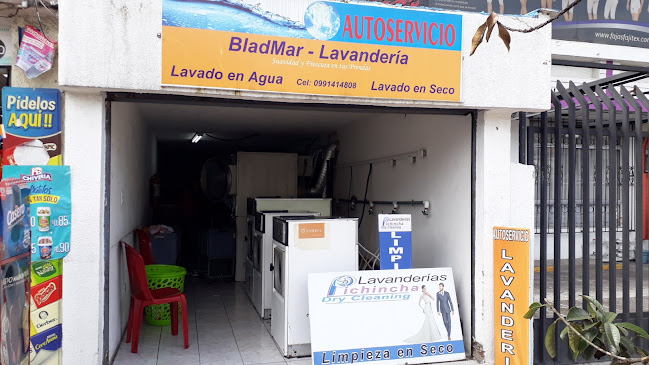 Opiniones de Bladmar - Lavandería en Quito - Lavandería