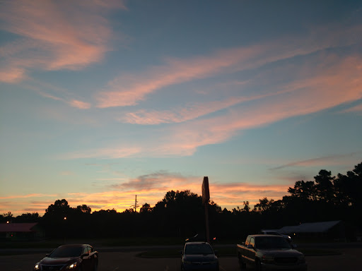 Discount Store «Dollar General», reviews and photos, 11503 US-190, Merryville, LA 70653, USA