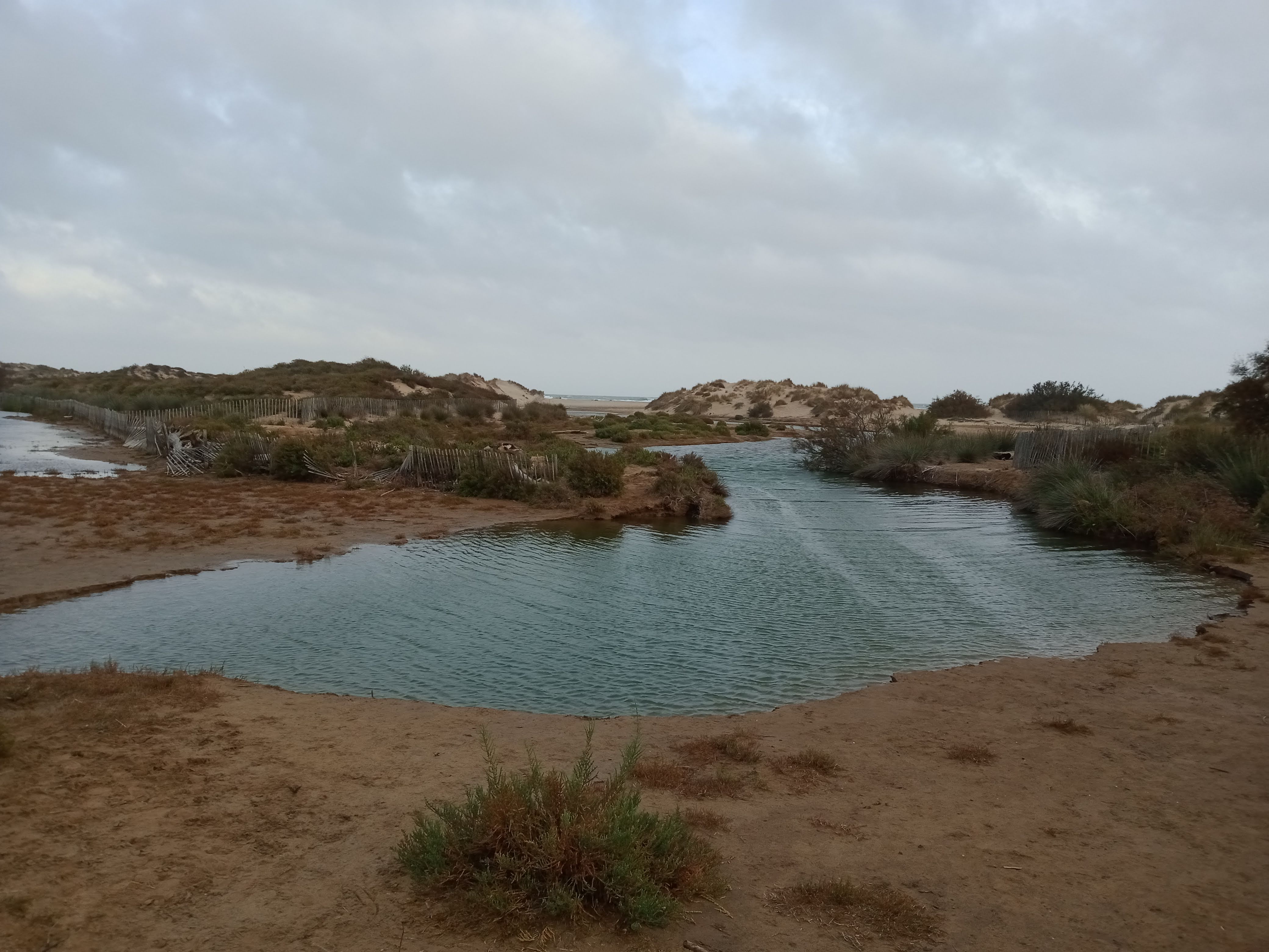 Photo n° 3 de l'avis de Frédéric.o fait le 01/11/2022 à 17:31