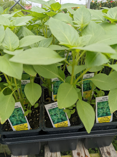 Wholesale Plant Nursery «Garden Fantasy», reviews and photos, 43250 Tyler Rd, Belleville, MI 48111, USA