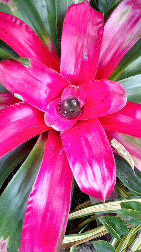 Aquarium «Belle Isle Aquarium», reviews and photos, 900 Inselruhe Ave, Detroit, MI 48207, USA