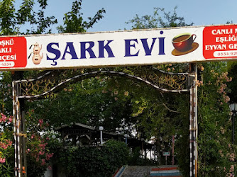 Gazi köşkü şark evi