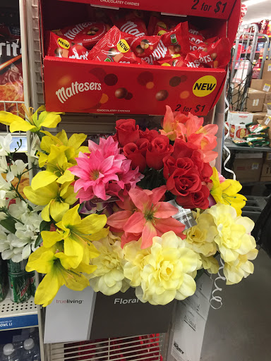 Discount Store «Dollar General», reviews and photos, 709 Old Hickory Blvd, Nashville, TN 37209, USA