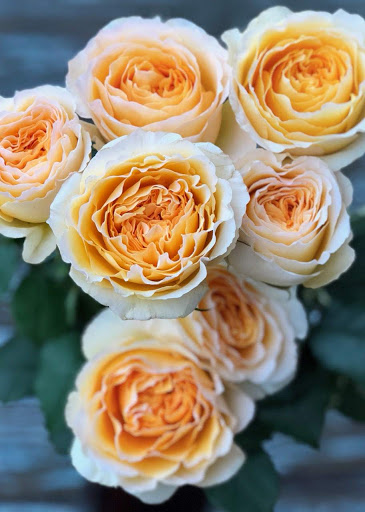 Florist «Florist Of Covington», reviews and photos, 2640 N Hwy 190, Covington, LA 70433, USA