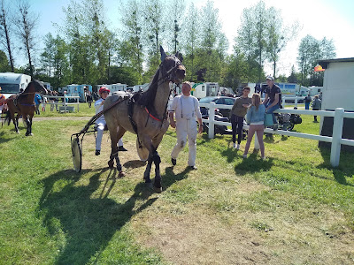 Hippodrome de Dozulé à Dozulé