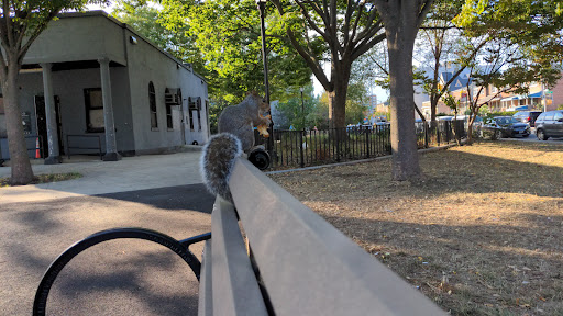 Park «Bensonhurst Park», reviews and photos, Cropsey Ave, Brooklyn, NY 11214, USA