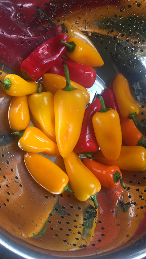 Supermarket «ALDI», reviews and photos, 3018 Matlock Rd, Mansfield, TX 76063, USA