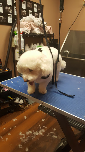 Pet Store «Pet Valu», reviews and photos, 2645 Shillington Rd, Sinking Spring, PA 19608, USA