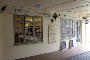 Pisces image