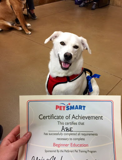 Pet Supply Store «PetSmart», reviews and photos, 3340 FM 544 Ste 800, Wylie, TX 75098, USA