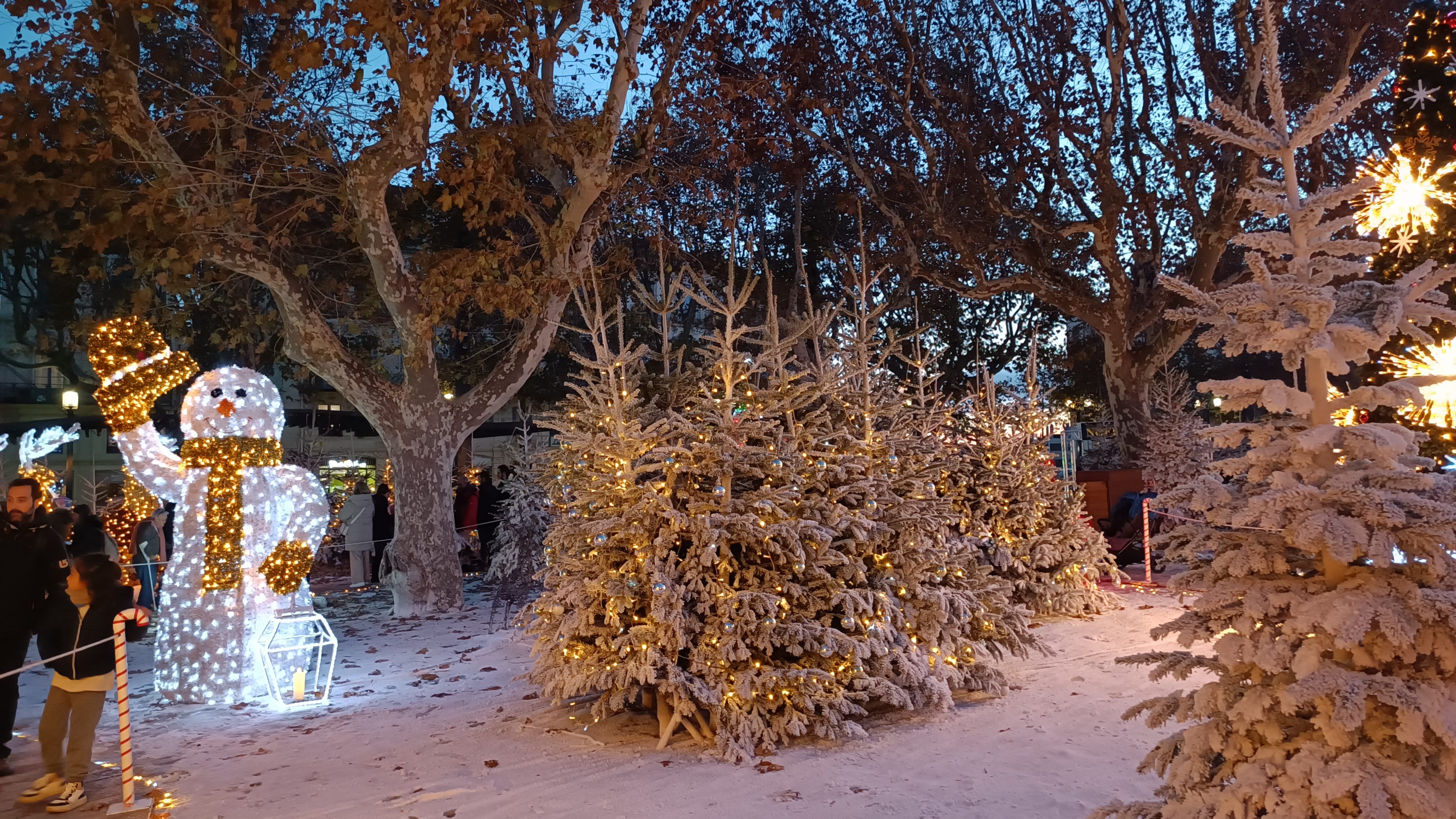 Photo n° 14 de l'avis de Jaume.� fait le 08/12/2023 à 20:50
