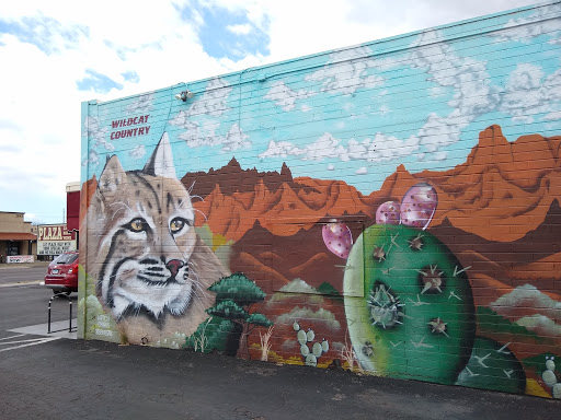 Beer Store «Plaza Liquors & Fine Wines», reviews and photos, 2642 N Campbell Ave, Tucson, AZ 85719, USA